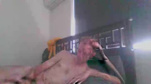 Snapshot of showmen101 chatting on December 20, 2025, 12:40 am JustAbitCheeky online show from December 20, 2025, 12:40 am