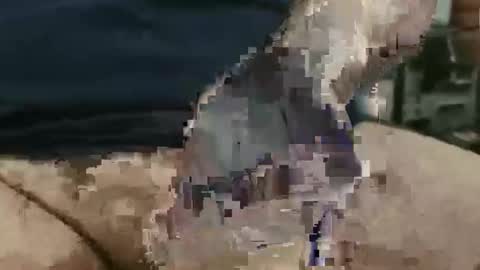 showsme online show from September 22, 2025, 12:07 pm