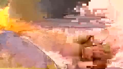 showsme online show from February 19, 2026, 7:59 am