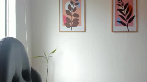 Snapshot of shylittlebunny chatting on June 9, 2026, 3:34 pm shylittlebunny online show from June 9, 2026, 3:34 pm