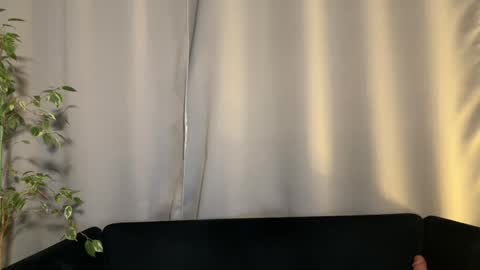 Amelia online show from February 2, 2025, 7:14 pm