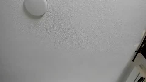 Snapshot of sienna_glow chatting on August 3, 2026, 12:43 pm sienna_glow online show from August 3, 2026, 12:43 pm