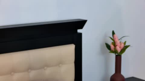 Snapshot of sierra_halle chatting on March 12, 2025, 2:52 am SIERRA online show from March 12, 2025, 2:52 am