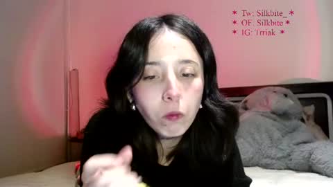silkbite online show from June 16, 2026, 4:04 am