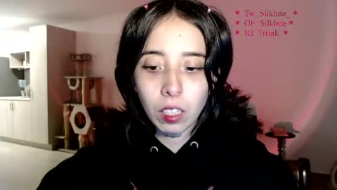 silkbite online show from July 24, 2026, 2:42 am