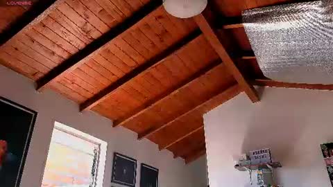 silvabranko online show from June 22, 2026, 3:09 pm