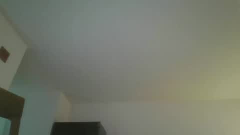 Snapshot of silverfunfox chatting on June 6, 2026, 12:38 am silverfunfox online show from June 6, 2026, 12:38 am