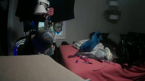 Snapshot of sirarchabalthe3rd chatting on March 9, 2025, 7:37 pm Danny skiff online show from March 9, 2025, 7:37 pm