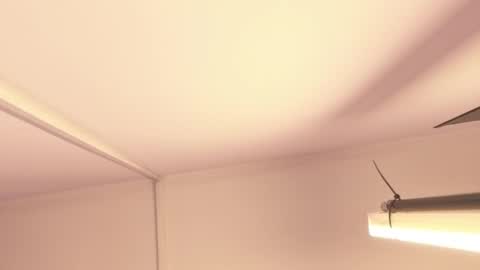 Skarlette online show from March 17, 2026, 3:22 am