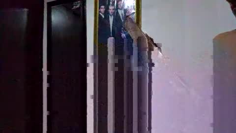 miguel online show from March 9, 2026, 5:17 pm