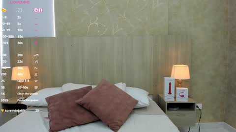 Snapshot of skinny_noa chatting on January 9, 2025, 2:29 pm Noa online show from January 9, 2025, 2:29 pm