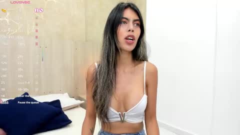 Snapshot of skinny_noa chatting on September 20, 2025, 11:33 am Noa online show from September 20, 2025, 11:33 am