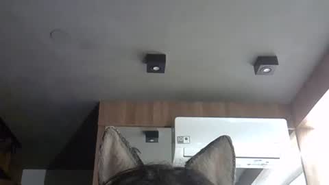 skinnykittencam online show from November 5, 2025, 3:17 am