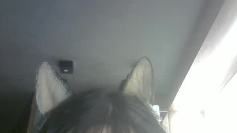 skinnykittencam online show from February 26, 2026, 10:25 am