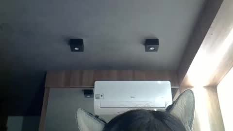 skinnykittencam online show from March 2, 2026, 11:06 am