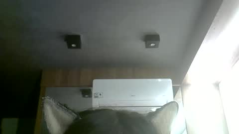 Snapshot of skinnykittencam chatting on June 1, 2026, 4:20 pm skinnykittencam online show from June 1, 2026, 4:20 pm