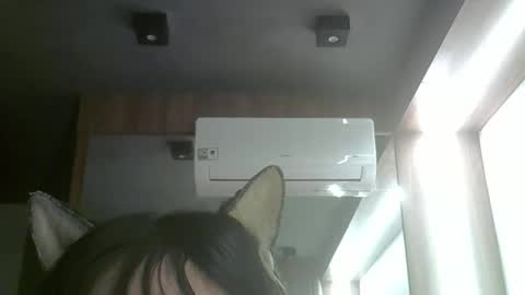 Snapshot of skinnykittencam chatting on June 3, 2026, 5:21 am skinnykittencam online show from June 3, 2026, 5:21 am