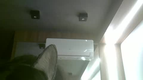 Snapshot of skinnykittencam chatting on June 3, 2026, 5:51 pm skinnykittencam online show from June 3, 2026, 5:51 pm