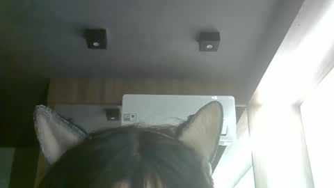 Snapshot of skinnykittencam chatting on June 5, 2026, 3:51 pm skinnykittencam online show from June 5, 2026, 3:51 pm