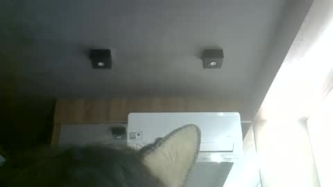 Snapshot of skinnykittencam chatting on June 6, 2026, 9:30 pm skinnykittencam online show from June 6, 2026, 9:30 pm