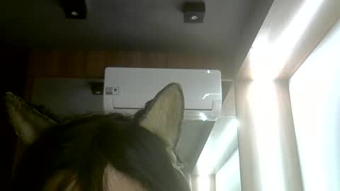 Snapshot of skinnykittencam chatting on June 7, 2026, 5:38 pm skinnykittencam online show from June 7, 2026, 5:38 pm