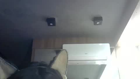 Snapshot of skinnykittencam chatting on June 8, 2026, 4:51 pm skinnykittencam online show from June 8, 2026, 4:51 pm