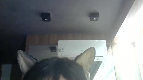 Snapshot of skinnykittencam chatting on June 9, 2026, 9:32 am skinnykittencam online show from June 9, 2026, 9:32 am