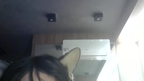 Snapshot of skinnykittencam chatting on June 11, 2026, 12:54 am skinnykittencam online show from June 11, 2026, 12:54 am