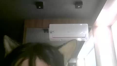 Snapshot of skinnykittencam chatting on June 11, 2026, 2:53 am skinnykittencam online show from June 11, 2026, 2:53 am