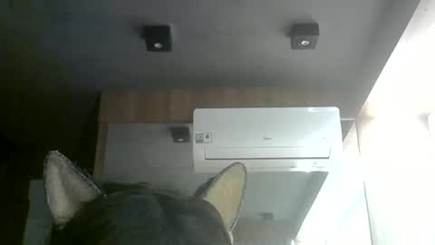 Snapshot of skinnykittencam chatting on June 11, 2026, 8:07 pm skinnykittencam online show from June 11, 2026, 8:07 pm
