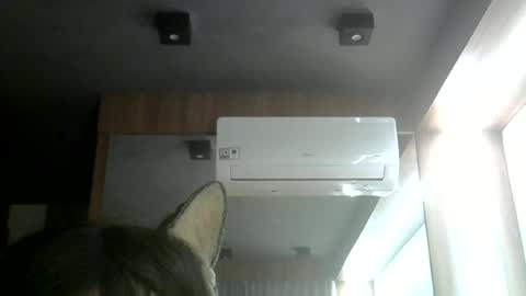 Snapshot of skinnykittencam chatting on June 12, 2026, 11:35 pm skinnykittencam online show from June 12, 2026, 11:35 pm
