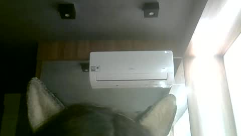 Snapshot of skinnykittencam chatting on June 14, 2026, 2:24 am skinnykittencam online show from June 14, 2026, 2:24 am
