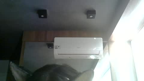 Snapshot of skinnykittencam chatting on June 15, 2026, 8:33 pm skinnykittencam online show from June 15, 2026, 8:33 pm