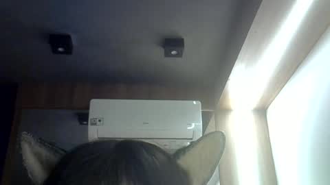 Snapshot of skinnykittencam chatting on June 16, 2026, 8:50 am skinnykittencam online show from June 16, 2026, 8:50 am
