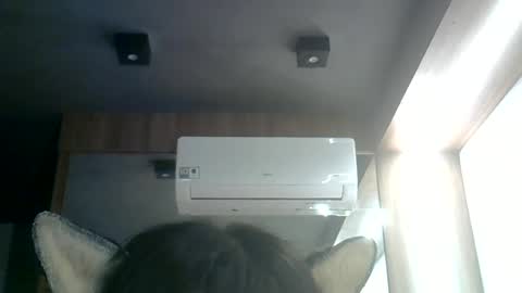 Snapshot of skinnykittencam chatting on June 17, 2026, 12:02 am skinnykittencam online show from June 17, 2026, 12:02 am