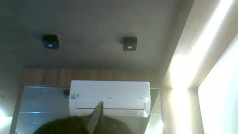 skinnykittencam online show from June 19, 2026, 12:20 pm