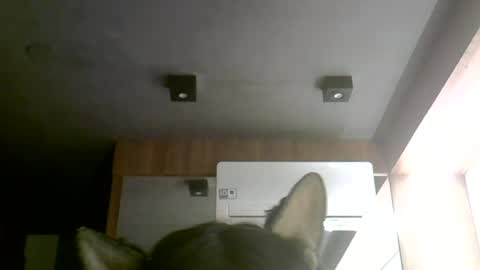 skinnykittencam online show from June 30, 2026, 12:11 am