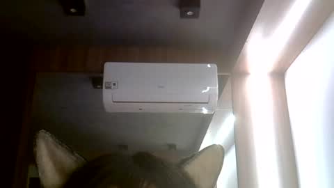skinnykittencam online show from July 25, 2026, 5:27 am
