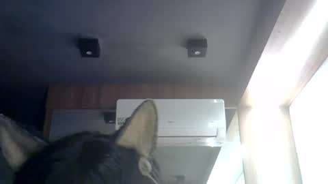 skinnykittencam online show from July 27, 2026, 6:09 am