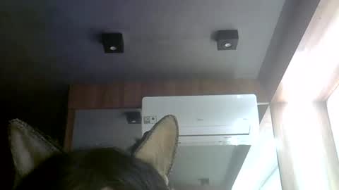 skinnykittencam online show from July 30, 2026, 3:11 pm