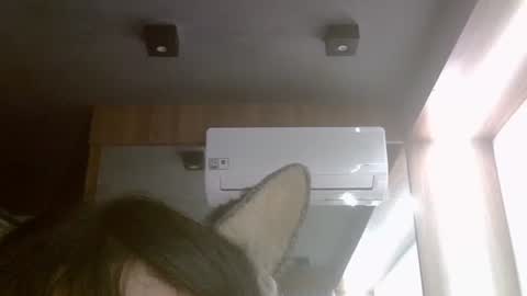 skinnykittencam online show from July 31, 2026, 5:12 pm
