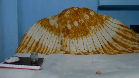 Indian online show from March 10, 2026, 6:24 pm