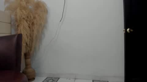 Snapshot of sky_dancer chatting on December 22, 2025, 2:14 pm Reuben online show from December 22, 2025, 2:14 pm