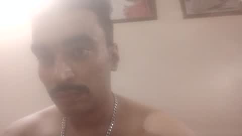 doggiestylee online show from July 23, 2026, 8:12 am
