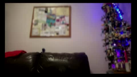Snapshot of skyfly333 chatting on July 20, 2026, 2:52 pm IAN HARD online show from July 20, 2026, 2:52 pm