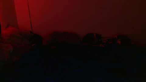 Snapshot of skykar chatting on August 5, 2026, 7:11 am reep online show from August 5, 2026, 7:11 am