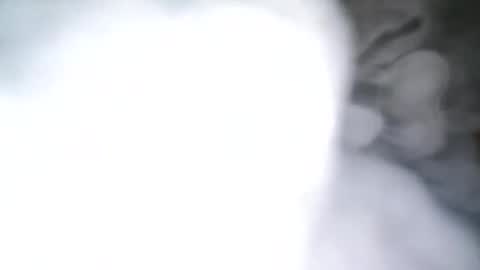 Snapshot of skyonetoo3 chatting on October 21, 2025, 10:21 pm skyonetoo3 online show from October 21, 2025, 10:21 pm