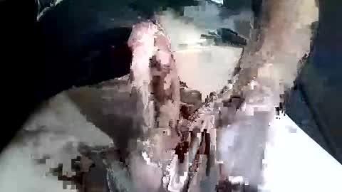 Snapshot of slash1710 chatting on November 2, 2025, 9:28 pm Z online show from November 2, 2025, 9:28 pm