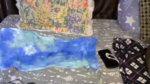 Snapshot of slim_me chatting on May 7, 2026, 7:36 am slim_me online show from May 7, 2026, 7:36 am