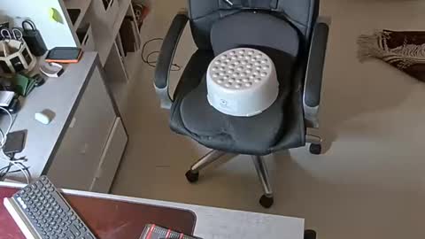 sluttygina1 online show from January 28, 2025, 2:53 pm